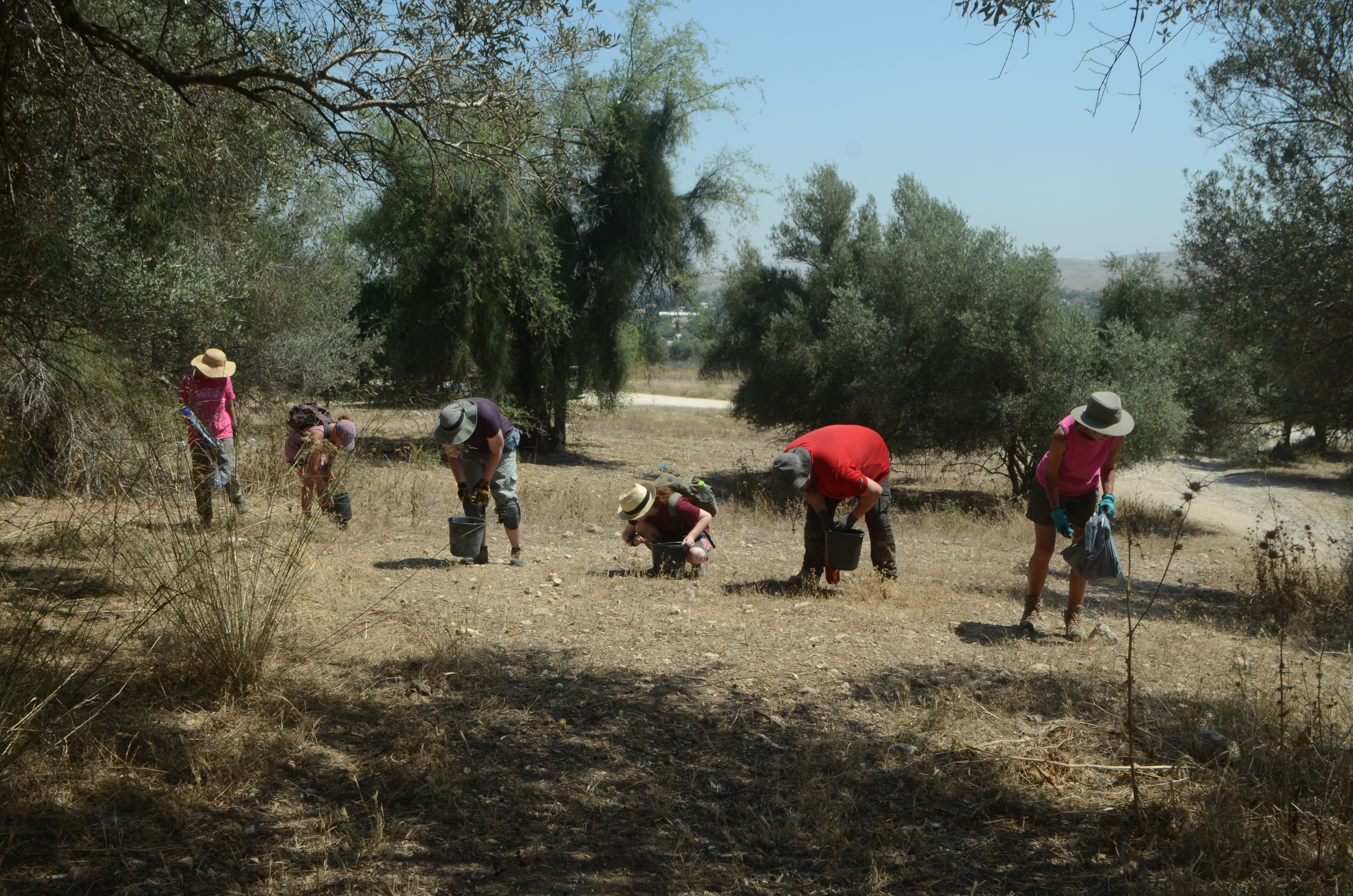Pottery survey by the team members