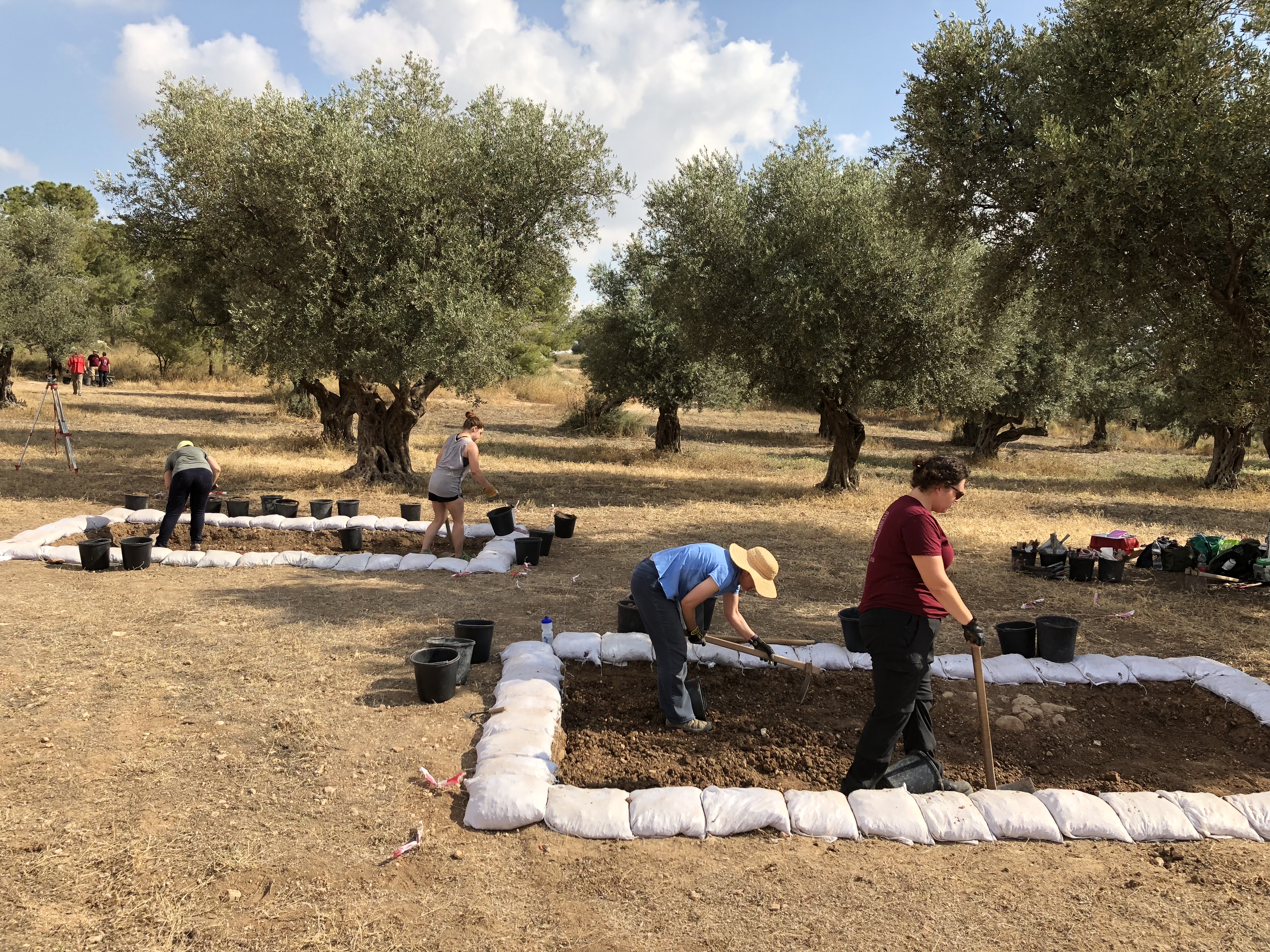 Area B during the first day of the second week