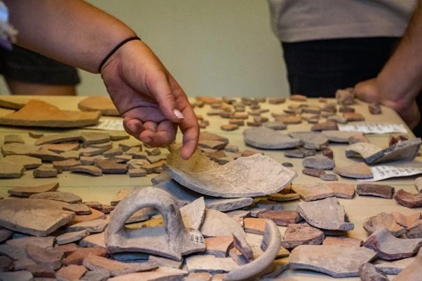 The 2021 Study Season